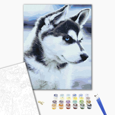 Malowanie po numerach Husky szczeniak (BS21714)