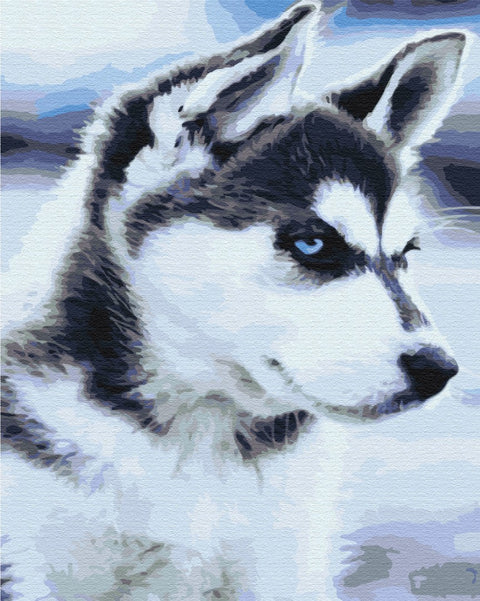 Malowanie po numerach Husky szczeniak (BS21714)