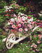Malowanie po numerach Wózek ogrodowy z kwiatami (BS8847)