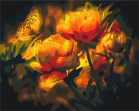 Malowanie po numerach Kontrast kwiatów (BS22025)