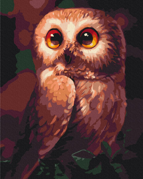 Malowanie po numerach Ciekawa sowa (BS51861)