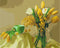 Malowanie po numerach Żółte tulipany (BS9245)