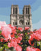 Malowanie po numerach Katedra Notre Dame (BS52328)