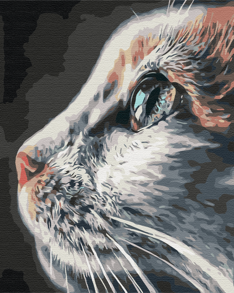 Malowanie po numerach Kotoprofil. (BS51792)