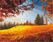 Malowanie po numerach Jesienny las (BS52622)
