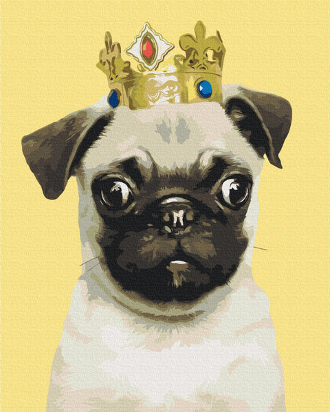 Malowanie po numerach Mops w koronie (BS52654)