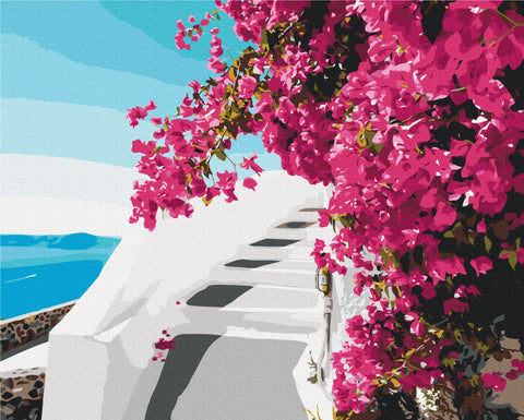 Malowanie po numerach Kwiaty Santorini (BS52717)