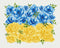 Malowanie po numerach Kwitnąca flaga ©Svetlana Drab (BS53147)