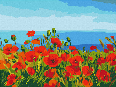 Malowanie po numerach Pole maków. Claude Monet (RBS1005)