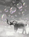 Malowanie po numerach Marzycielski słoń (BS53701)
