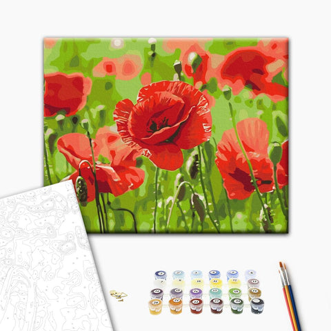 Malowanie po numerach Czerwone maki (BS53703)