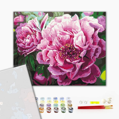 Premium malowanie po numerach Luxurious peonies (PBS4667)
