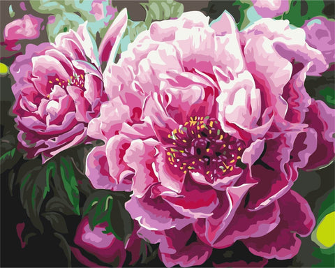 Premium malowanie po numerach Luxurious peonies (PBS4667)