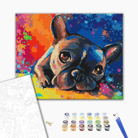 Premium malowanie po numerach Colored bulldog (PBS28895)