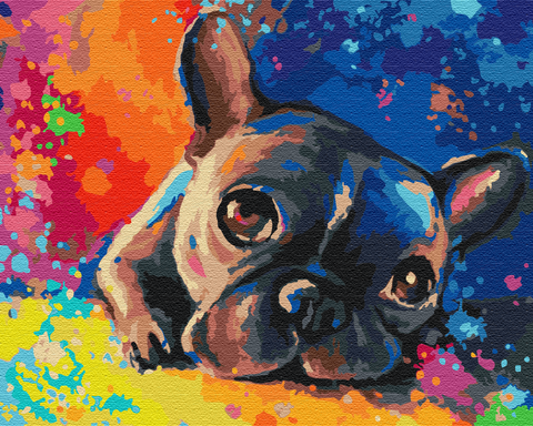 Premium malowanie po numerach Colored bulldog (PBS28895)
