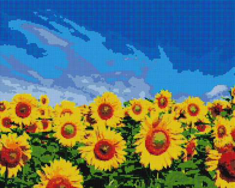 Haft diamentowy Pole słoneczników (DBS1003)