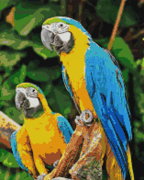 Haft diamentowy Papugi Ara (DBS1049)