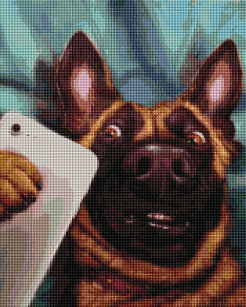 Haft diamentowy Selfie Charliego ©Lucia Heffernan (DBS1209)