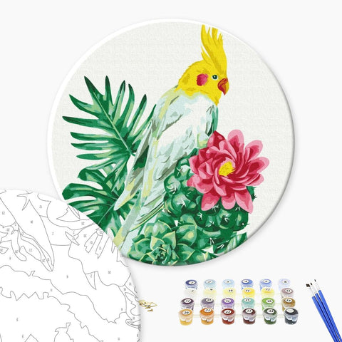 Okrągłe malowanie po numerach Tropical Parrot (rozmiar M) (RC00057M)