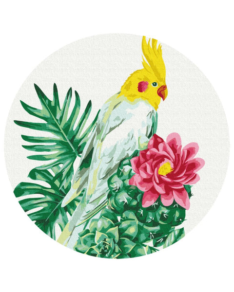 Okrągłe malowanie po numerach Tropical Parrot (rozmiar M) (RC00057M)