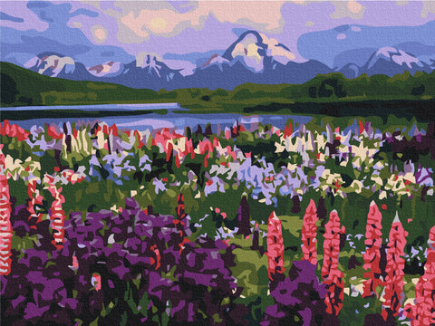 Malowanie po numerach Dolina polnych kwiatów (RBS21019)