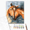 Malowanie po numerach Czułość koni (RBS28717)