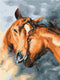 Malowanie po numerach Czułość koni (RBS28717)