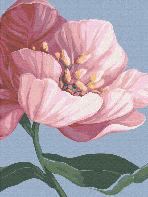 Malowanie po numerach Kwiaty © Yana Biluhina (RBS53759)