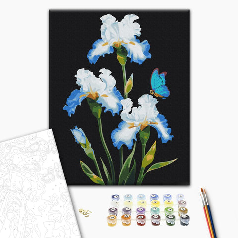 Malowanie po numerach Irysy © Anna Steshenko (BS53915)