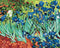 Premium malowanie po numerach Irysy. Van Gogh (PBS51339)