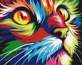 Malowanie po numerach Tęczowy kot (BS26192)