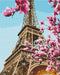 Premium malowanie po numerach Sakura w Paryżu (PBS52836)