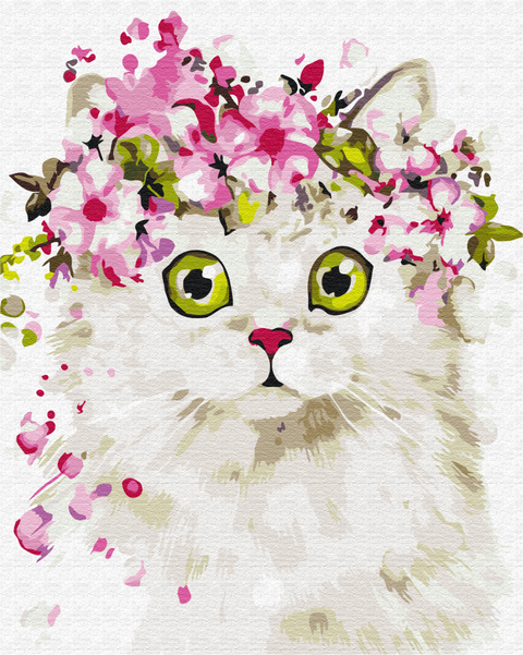 Premium malowanie po numerach Zaskoczony kotek (PBS51840)