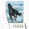 Malowanie po numerach Czarny koń (BS29330)