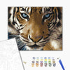 Malowanie po numerach Spojrzenie tygrysa (BS8767)