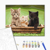 Malowanie po numerach Kocięta w koszyku (BS52621)