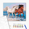 Malowanie po numerach Konie na wybrzeżu (BS51568)