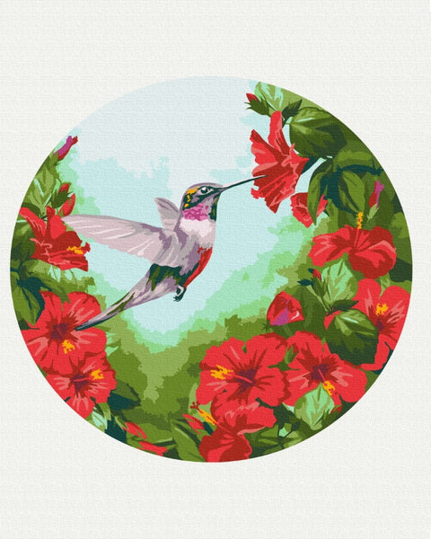 Okrągłe malowanie po numerach Hummingbird (rozmiar M) (RC00012M)